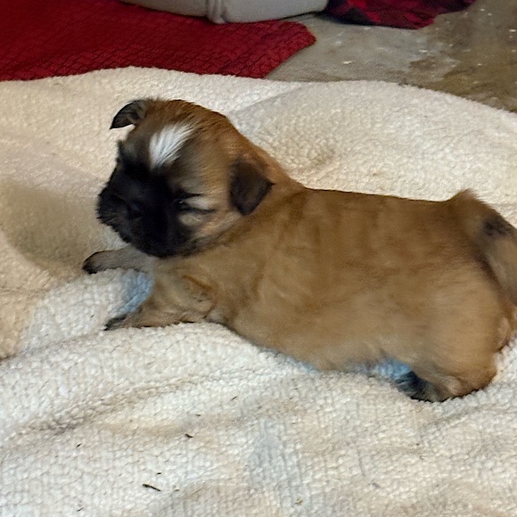 Meet your Posher, Denise - Picture 16 of 16